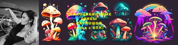 ПСИЛОЦИБИНОВЫЕ ГРИБЫ Нея