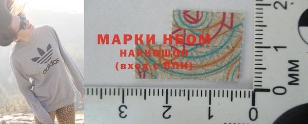 дмт Новозыбков