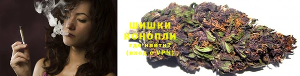 дмт Новозыбков