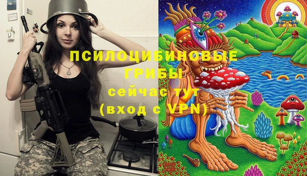 дмт Новозыбков