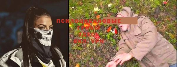 дмт Новозыбков