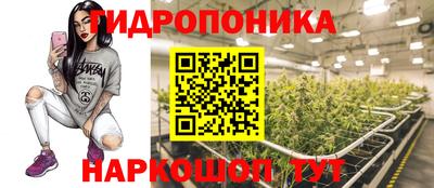 мяу мяу мука Гай