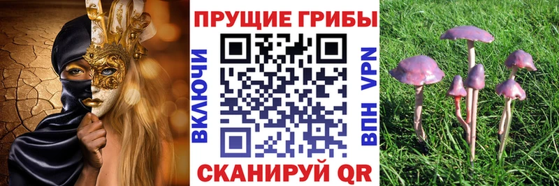 мега ТОР  Новотроицк  Галлюциногенные грибы мицелий 
