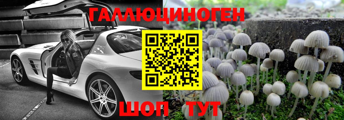 как найти закладки  Вход с VPN  Новотроицк  Галлюциногенные грибы Psilocybine cubensis 