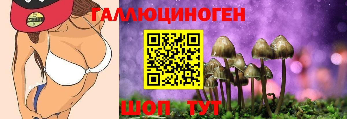 Галлюциногенные грибы MAGIC MUSHROOMS Новотроицк
